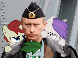 Size: 1024x768 | Tagged: safe, derpibooru import, edit, oc, oc:dusk dancer, oc:nightlight, oc:rosewood, bat pony, human, pony, unicorn, female, hat, irl, irl human, mare, photo, ponies in real life, russian, thirster, vladimir putin