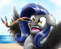 Size: 2864x2317 | Tagged: safe, artist:otakuap, derpibooru import, oc, oc:bernd, unofficial characters only, crab, pegasus, pony, beach, nose pinch, open mouth, pinch, solo, spread wings, wings