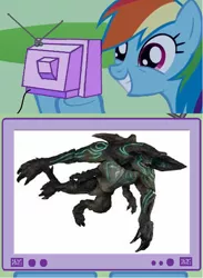 Size: 564x772 | Tagged: derpibooru import, exploitable meme, meme, neca, obligatory pony, pacific rim, rainbow dash, safe, scunner, toy, tv meme