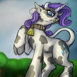 Size: 950x950 | Tagged: safe, artist:foldeath, derpibooru import, rarity, cow, cow pony, unicorn, bell, bell collar, collar, cowbell, digital art, ear tag, female, mare, nose piercing, nose ring, piercing, raised hoof, raricow, solo, species swap