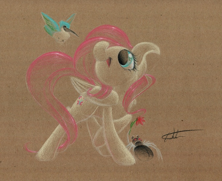 Size: 1280x1045 | Tagged: artist:getchanoodlewet, bird, derpibooru import, fluttershy, hummingbird, hummingway, safe, solo, spider, traditional art