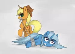 Size: 1000x723 | Tagged: applejack, applejack hogtying trixie, artist:irigulus, bondage, derpibooru import, hogtied, rope, safe, tied up, trixie