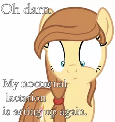 Size: 1410x1493 | Tagged: suggestive, derpibooru import, oc, oc:cream heart, unofficial characters only, earth pony, pony, cutie mark, female, image macro, implications, implied crotchboobs, implied lactation, lactation, mare, meme, nocturnal lactation, simple background, solo, text, text edit, white background