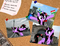 Size: 1560x1200 | Tagged: safe, artist:csillaghullo, derpibooru import, oc, unofficial characters only, pony, unicorn, badge, bridge, budapest, film reel, flag, flower, happy, hoof in air, hungary, montage, photo, photos, solo, square, to-do list, train station