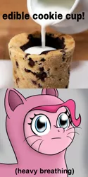 Size: 512x1024 | Tagged: cat costume, clothes, cookie, derpibooru import, descriptive noise, edible cookie cup, food, heavy breathing, meme, pinkie cat, pinkie pie, safe, solo, text