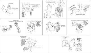 Size: 4460x2630 | Tagged: safe, artist:whatthescoots, derpibooru import, oc, ponified, cyborg, absurd resolution, anatomy, battletech, brain, medical, science, word of blake