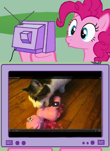 Size: 562x771 | Tagged: cat, derpibooru import, exploitable meme, image macro, meme, obligatory pony, pinkie pie, safe, toy, tv meme, video, youtube, youtube link