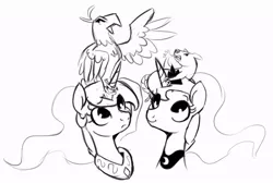 Size: 891x597 | Tagged: artist:nohooves, derpibooru import, monochrome, philomena, princess celestia, princess luna, safe, sketch, tiberius