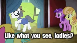Size: 576x324 | Tagged: safe, derpibooru import, edit, edited screencap, screencap, amethyst star, cherry berry, junebug, silver shill, sunshower raindrops, pony, leap of faith, caption, female, mare, out of context, plot