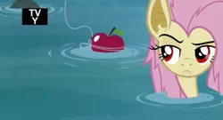 Size: 639x344 | Tagged: apple, derpibooru import, edit, edited screencap, episode crossover, fishing, flutterbat, fluttershy, leap of faith, safe, scene parody, screencap, solo, water