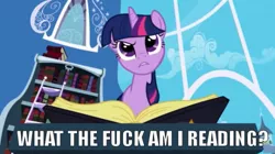 Size: 599x335 | Tagged: safe, derpibooru import, edit, edited screencap, screencap, twilight sparkle, pony, unicorn, friendship is magic, book, female, frown, gritted teeth, image macro, mare, meme, raised eyebrow, solo, twilight's canterlot home, unicorn twilight, vulgar, what the fuck am i reading