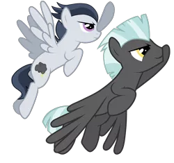 Size: 4281x4025 | Tagged: safe, artist:dreamcasterpegasus, derpibooru import, rumble, thunderlane, pegasus, pony, absurd resolution, brothers, colt, duo, flying, male, older, stallion, teenager