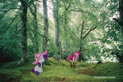 Size: 1159x776 | Tagged: artist:digitalpheonix, artist:sakatagintoki117, artist:silentmatten, derpibooru import, forest, hat, irl, photo, pinkie pie, ponies in real life, rarity, safe, shadow, vector