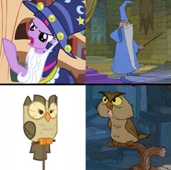 Size: 619x614 | Tagged: safe, derpibooru import, owlowiscious, star swirl the bearded, twilight sparkle, human, owl, pony, archimedes, comparison, magician, merlin, raised hoof, star swirl the bearded costume, the sword in the stone, wizard