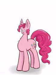 Size: 520x700 | Tagged: safe, artist:heir-of-rick, derpibooru import, pinkie pie, earth pony, pony, :u, chest fluff, faic, impossibly large ears, simple background, small head, solo, tiny head, white background, woll smoth