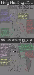 Size: 750x1650 | Tagged: anatomy, artist:smawtymustdie, derpibooru import, fluffy pony, fluffy pony original art, guide, safe