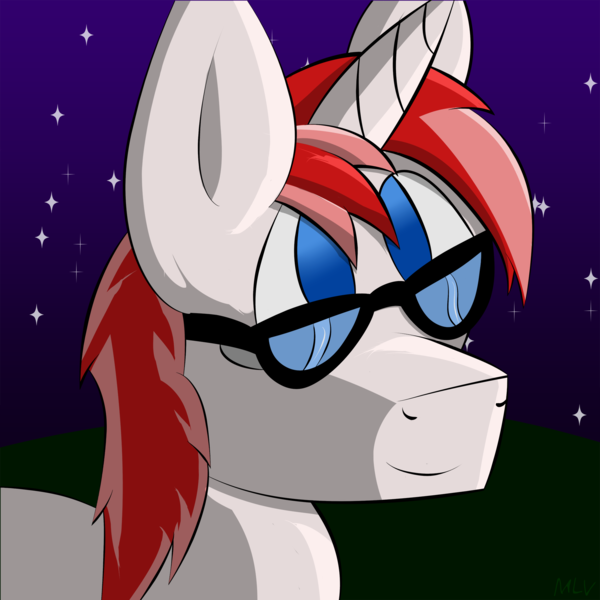 Size: 2000x2000 | Tagged: artist:mylittlevisuals, derpibooru import, glasses, male, night, oc, oc:dbpony, safe, solo, stars, unofficial characters only