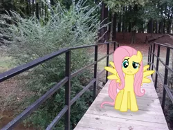 Size: 2592x1944 | Tagged: artist:scrimpeh, artist:tokkazutara1164, bridge, derpibooru import, fluttershy, irl, photo, ponies in real life, safe, shadow, solo, walkway