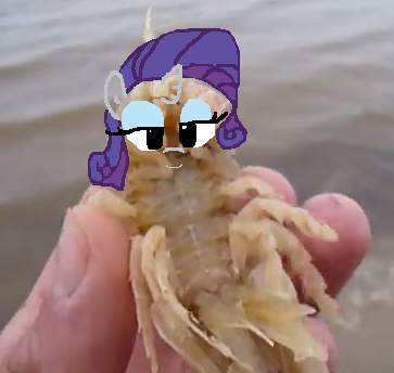 Size: 363x344 | Tagged: 1000 hours in ms paint, derpibooru import, isopod, ms paint, paint, rarity, safe, wat