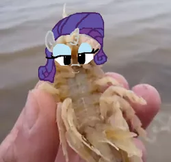 Size: 363x344 | Tagged: 1000 hours in ms paint, derpibooru import, isopod, ms paint, paint, rarity, safe, wat