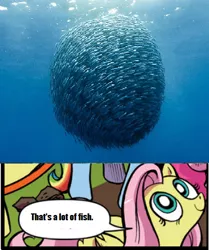 Size: 393x471 | Tagged: safe, derpibooru import, fluttershy, fish, exploitable meme, godzilla 1998, matthew broderick, meme, nature is so fascinating, nick tatopoulos, nostalgia critic, obligatory pony, that's a lot of fish