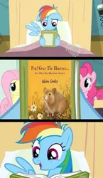 Size: 581x1000 | Tagged: semi-grimdark, derpibooru import, rainbow dash, earth pony, hamster, pegasus, pony, animal abuse, book, book cover, comic, reading rainbow