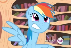 Size: 1200x810 | Tagged: derpibooru import, hub logo, lip bite, rainbow dash, safe, screencap, solo, stooldash, testing testing 1-2-3