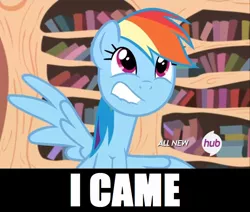 Size: 800x679 | Tagged: caption, cyoar, derpibooru import, edit, edited screencap, hub logo, i came, implied orgasm, rainbow dash, screencap, solo, suggestive, testing testing 1-2-3