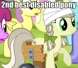 Size: 766x672 | Tagged: safe, derpibooru import, edit, edited screencap, screencap, jinx, earth pony, pony, leap of faith, bandaged head, best pony, bow, disabled, female, hair bow, image macro, implying, mare, meme, pigtails, raised hoof, wheelchair