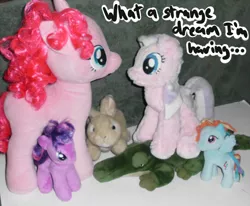 Size: 700x578 | Tagged: alligator, beanie babies, build-a-bear, derpibooru import, dream, funrise, irl, oc, oc:heartcall, photo, pinkie pie, plushie, rabbit, rainbow dash, safe, tumblr, twilight sparkle, ty