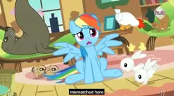 Size: 631x351 | Tagged: chick, chicken, chipmunk, derpibooru import, hub logo, magical mystery cure, meme, rabbit, rainbow dash, safe, screencap, seal, sea lion, squirrel, what my cutie mark is telling me, youtube caption