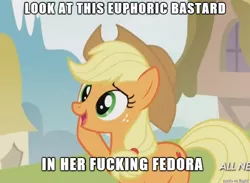 Size: 610x446 | Tagged: applejack, derpibooru import, euphoric, fedora, fedora shaming, hat, image macro, meme, safe, sarcasm, solo, vulgar