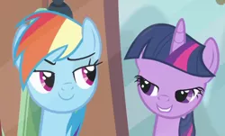 Size: 472x286 | Tagged: safe, derpibooru import, screencap, rainbow dash, twilight sparkle, twilight sparkle (alicorn), alicorn, pony, rainbow falls, duo, faic, female, lidded eyes, lip bite, mare, out of context, smug, smugdash