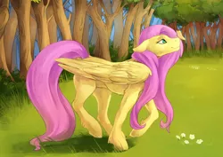 Size: 958x678 | Tagged: safe, artist:risu-nya, derpibooru import, fluttershy, butterfly, pegasus, pony, bush, female, floppy ears, grass, hoof fluff, insect on nose, large wings, leg fluff, mare, raised hoof, raised leg, realistic horse legs, solo, tree, wings