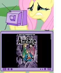 Size: 640x771 | Tagged: archie, archie comics, derpibooru import, exploitable meme, fluttershy, meme, obligatory pony, sad, safe, tv meme