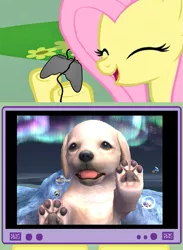 Size: 563x770 | Tagged: artist:bronynel, assist trophy, cute, derpibooru import, dog, exploitable meme, fluttershy, gamershy, meme, nintendogs, obligatory pony, puppy, safe, super smash bros., super smash bros. brawl, tv meme