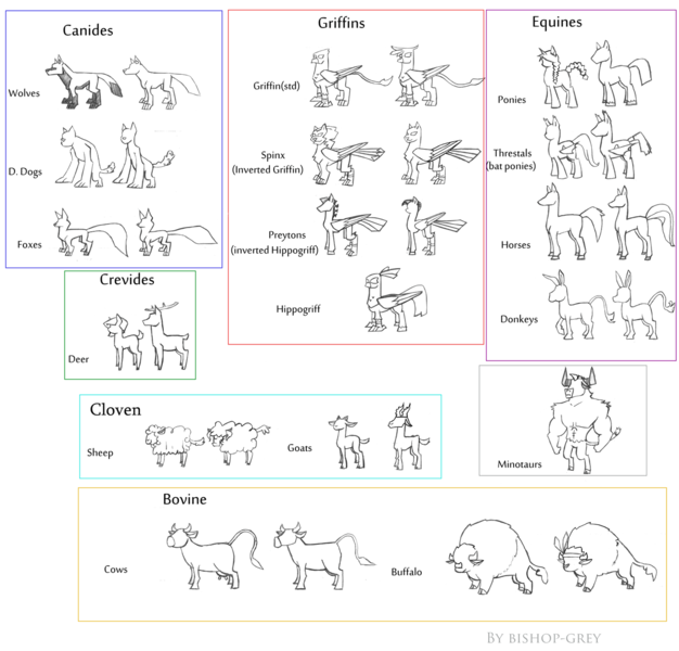 Size: 1200x1151 | Tagged: safe, artist:bishop-grey, derpibooru import, oc, unofficial characters only, bat pony, buffalo, classical hippogriff, cow, deer, diamond dog, donkey, fox, goat, gryphon, hippogriff, horse, hybrid, minotaur, original species, peryton, pony, saddle arabian, sheep, sphinx, wolf, bovine, equine, headcanon, lineart, size chart, size comparison, species, sphinx oc, udder