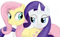 Size: 640x400 | Tagged: safe, artist:simeonleonard, derpibooru import, fluttershy, rarity