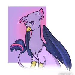 Size: 900x900 | Tagged: safe, artist:otterlore, derpibooru import, twilight sparkle, gryphon, griffonized, my little griffon, simple background, solo, species swap, white background