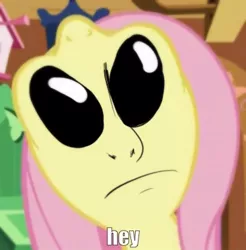 Size: 366x372 | Tagged: alien, alien eyes, ayy lmao, derpibooru import, edit, fluttershy, gray, nightmare fuel, not salmon, safe, solo, uma, void eyes, wat, what horrors have been unleashed