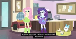 Size: 1600x830 | Tagged: safe, derpibooru import, screencap, fluttershy, mitsy, rarity, cat, dog, equestria girls, hamstocalypse now, rainbow rocks, meme, puddy tat, puppy, youtube caption