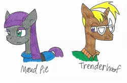 Size: 1010x667 | Tagged: artist:cmara, crack shipping, derpibooru import, female, male, maud pie, safe, shipping, straight, traditional art, trenderhoof, trendermaud