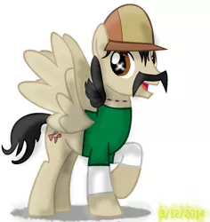 Size: 869x920 | Tagged: safe, artist:vetorhuskysamuria, derpibooru import, ponified, pegasus, pony, hat, kenny, solo, the walking dead, the walking dead game