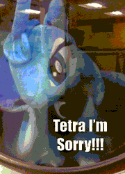 Size: 360x500 | Tagged: safe, artist:tetrapony, derpibooru import, princess luna, alicorn, pony, abuse, animated, begging, caption, death threat, desperation, dialogue, dryer, english, female, funny, funny as hell, humor, injured, insult, irl, lunabuse, mare, misspelling, offscreen character, photo, plushie, punishment, solo, solo focus, swearing, threat, threatening, toy abuse, vulgar, washing machine, yelling