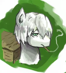 Size: 1240x1373 | Tagged: safe, artist:goneking, derpibooru import, ponified, pony, bust, cigarette, ginko, mushishi, pixiv, portrait, smoke, smoking, solo