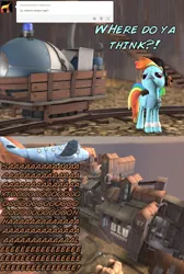 Size: 1024x1526 | Tagged: safe, artist:mattwo, derpibooru import, rainbow dash, 3d, ask, crossover, gmod, incoming ham, large ham, pony fortress 2, rainbow scout, saxton hale, team fortress 2, tumblr