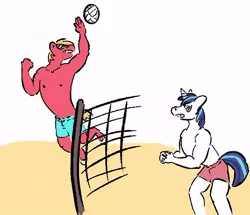 Size: 500x429 | Tagged: safe, artist:tempusfidgets, deleted from derpibooru, derpibooru import, big macintosh, shining armor, anthro, 30 minute art challenge, beach, beach volleyball, clothes, hark a vagrant, homoerotic beach volleyball, kate beaton, top gun, topless, volleyball