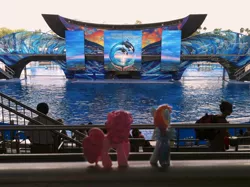 Size: 1962x1465 | Tagged: artist:scrwloose, behind, derpibooru import, irl, photo, pinkie pie, ponies in real life, rainbow dash, safe, sea world, seaworld, toy