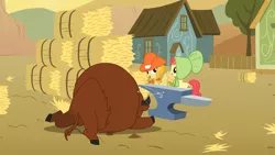 Size: 1365x768 | Tagged: apple bumpkin, apple family member, background pony, buffalo, derpibooru import, jonagold, marmalade jalapeno popette, over a barrel, safe, screencap