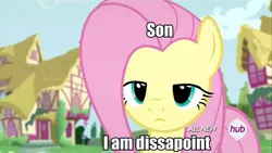 Size: 960x540 | Tagged: safe, derpibooru import, edit, edited screencap, screencap, fluttershy, testing testing 1-2-3, hub logo, image macro, meme, serious face, solo, son i am disappoint